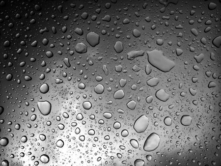 The water drops resting upon a smooth surface showcasing their beauty and detailsの写真素材