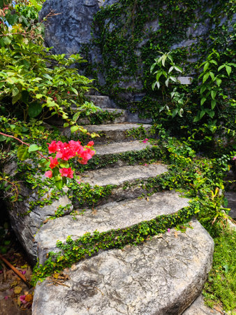 Stone staircase in a beautifully designed garden by an array of vibrant plants and colorful flowersの写真素材