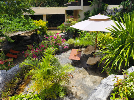 Serene pond complete with fish swimming gracefullyの写真素材