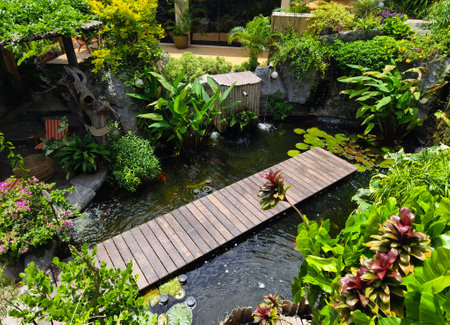 Serene pond complete with a beautiful waterfall and fish swimming gracefullyの写真素材