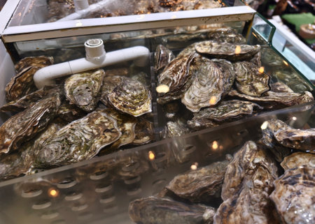 A large bunch of fresh oysters are sitting inside a glass containerの写真素材