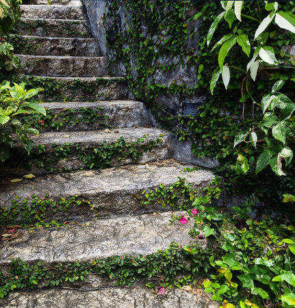 Stone staircase in a beautifully designed garden by an array of vibrant plants and colorful flowersの写真素材