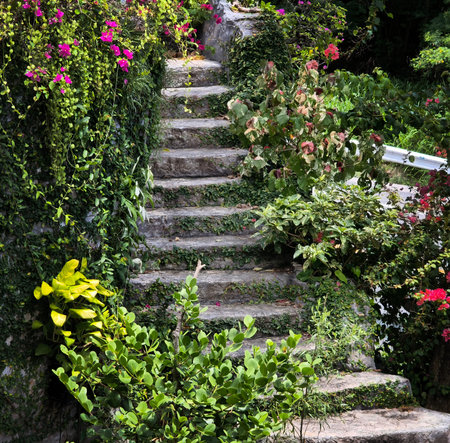 Stone staircase in a beautifully designed garden by an array of vibrant plants and colorful flowers