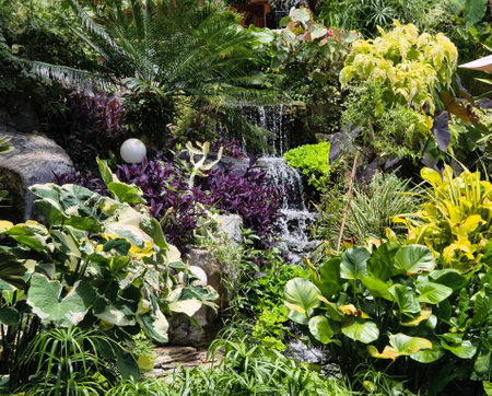 Serene pond complete with a beautiful waterfall and fish swimming gracefullyの写真素材