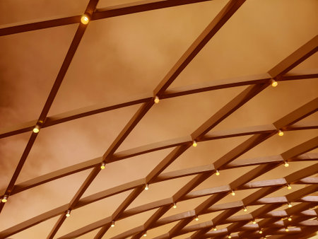 A beautifully designed ceiling with a geometric pattern and lightsの写真素材