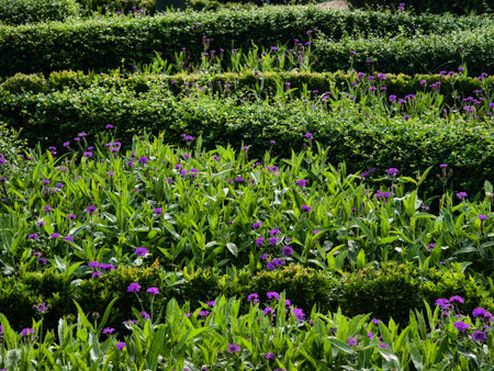 A beautiful garden that is filled with numerous bushes and treesの写真素材