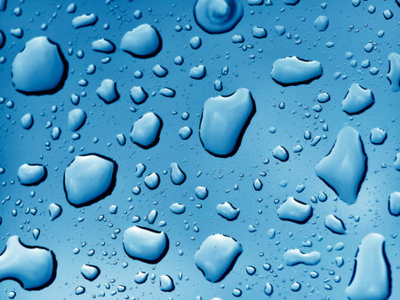 The water drops resting upon a smooth surface showcasing their beauty and detailsの写真素材