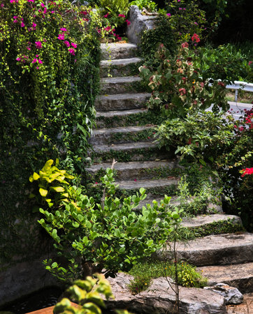 Stone staircase in a beautifully designed garden by an array of vibrant plants and colorful flowersの写真素材