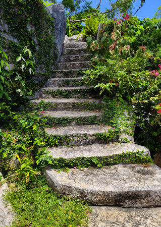 Stone staircase in a beautifully designed garden by an array of vibrant plants and colorful flowersの写真素材