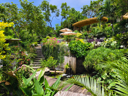 Serene pond complete with a beautiful waterfall and fish swimming gracefullyの写真素材