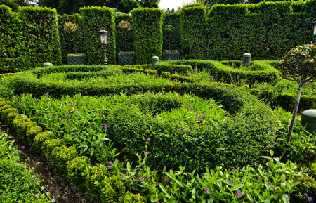 A beautiful garden that is filled with numerous bushes and treesの写真素材