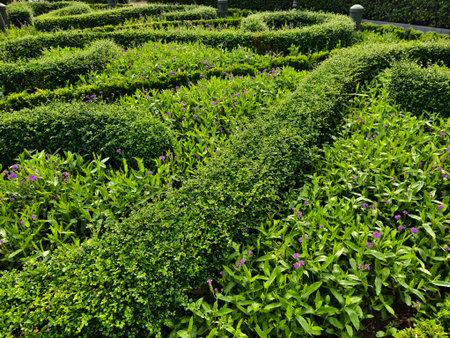 A beautiful garden that is filled with numerous bushes and trees