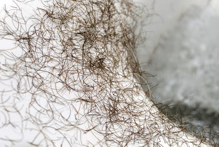 Bowl full of hair after hair cut with trimmer