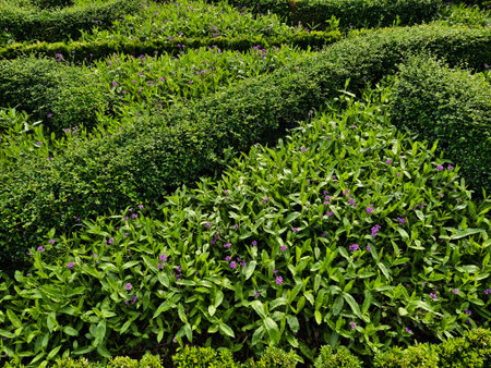 A beautiful garden that is filled with numerous bushes and trees
