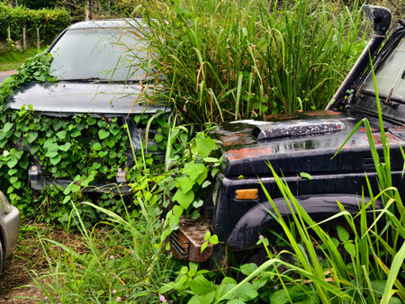 Abandoned jeep lost amidst lush foliage and decayの写真素材