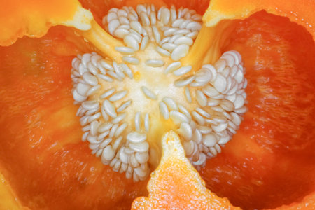 orange bell pepper in the macro section