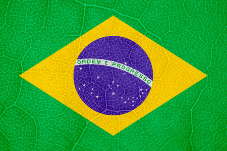 flag of Brazil on the structure of a tree leaf macroの写真素材