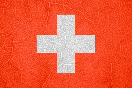 Swiss flag on the structure of a tree leaf macro. High quality photoの写真素材