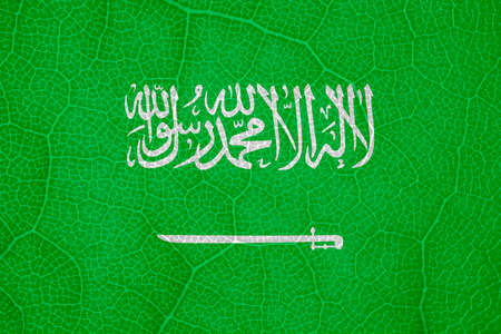 flag of Saudi Arabia on the structure of a tree leaf macroの写真素材