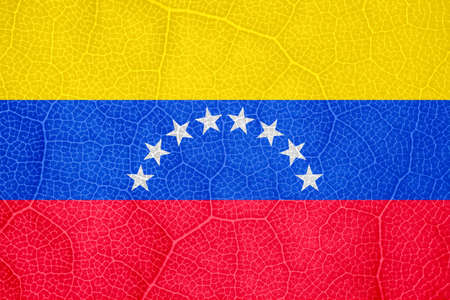 flag of Venezuela on the structure of a tree leaf macroの写真素材