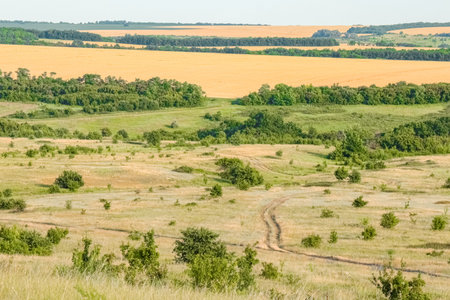 A large green field with trees in the background. the road that goes into the distance