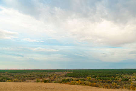 autumn forest landscape with blue sky backgroundの写真素材