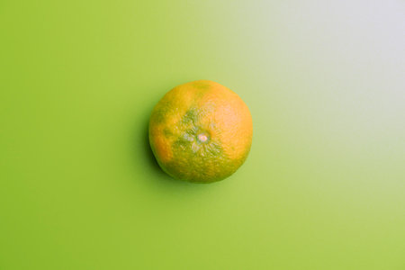mandarin on a green background. the view from the topの写真素材