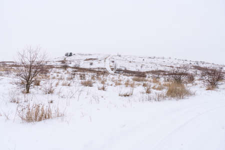 snow-covered hill mountain against a white skyの写真素材