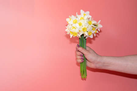 a womans hand with a bouquet of crocus flowers on a pink backgroundの写真素材