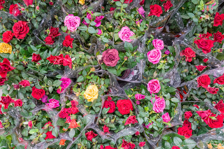 there are a lot of beautiful bouquets of rosesの写真素材