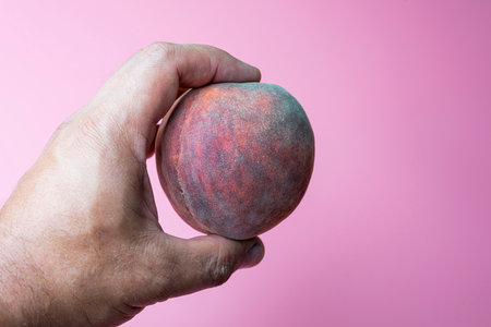 a ripe peach in a mans hand on a pink backgroundの写真素材