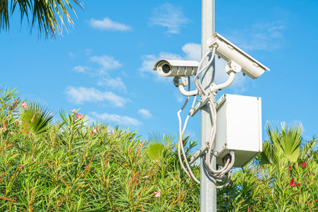 CCTV cameras on the background of a tropical forest close-upの写真素材