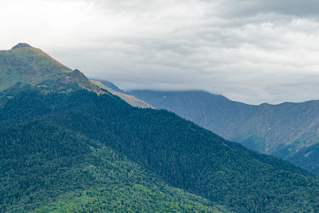 landscape of green mountains overgrown with forestの写真素材