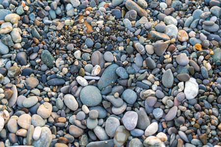 the texture of the pebbles in close-up as a backgroundの写真素材