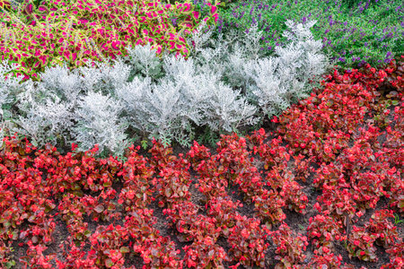 Colorful Garden Flower Arrangement in a Vibrant Landscape Settingの写真素材