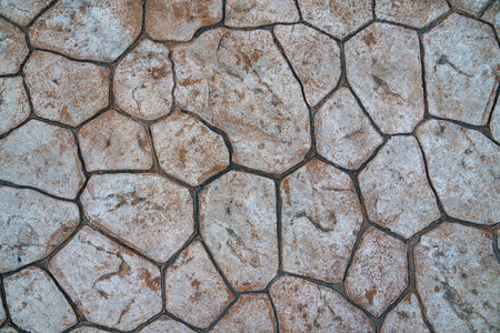 Unique Textured Ground Resembling Cracked Earth Found in Dry Landscapeの写真素材