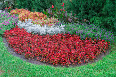 Vibrant Flower Bed With Colorful Blooms in a Serene Garden Settingの写真素材