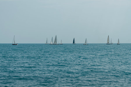 Multiple Sailboats Navigate Calm Waters During a Clear Day at Sea