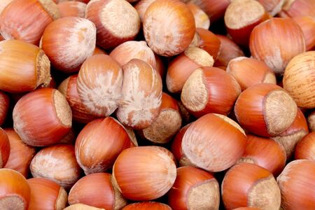 hazelnutsの写真素材