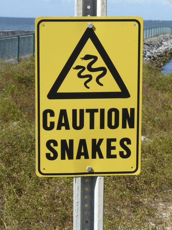 Caution sign warning visitors of snakes in the area at a public ferry landing for transportation...
