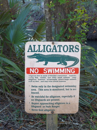 No Swimming caution sign in Florida Caverns State Park warns visitors of alligators in the waterways and provides swimming rules.の写真素材