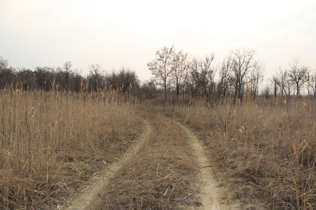 The road goes for a turnの写真素材