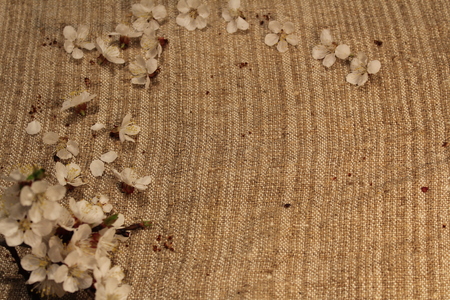 Texture of burlap with scattered white flowers for the backgroundの写真素材