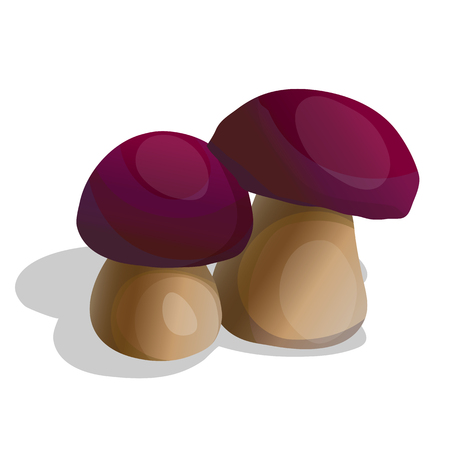 Two mushrooms with red hats on white backgroundのイラスト素材