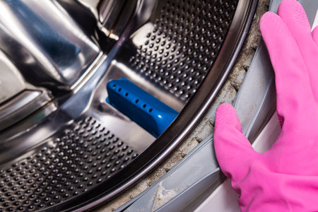 Dirty rubber gasket with mold and dirt on the washing machine. washing machine service. close up. copyspace.の写真素材