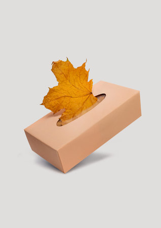 Creative idea. A box of napkins with autumn leaves on a light background. The concept of illness in the autumn period.の写真素材