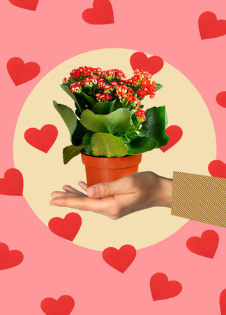 Collage. A hand holds a pot with flowers. Holidays and love concept. Women's Day. Valentine's Day.の写真素材