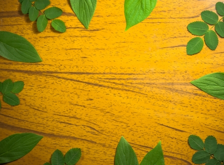green leaves on wood texture, background frameの写真素材