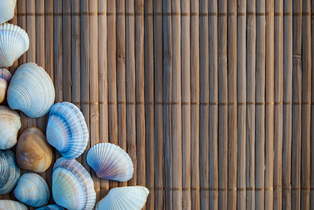 little seashells on wooden mat, close upの写真素材