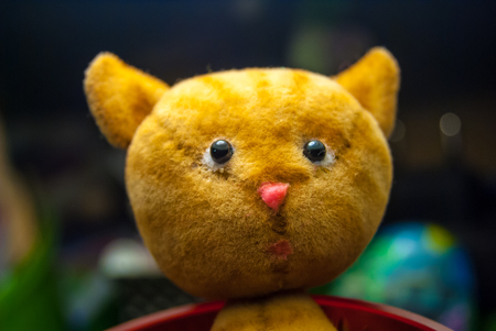 plush cat, funny toy, macroの写真素材